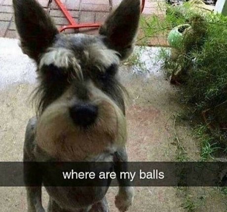 kuroshiika art model gallery