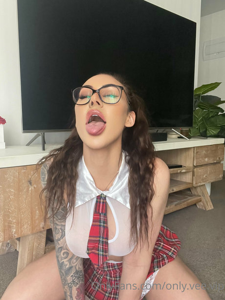 Vee Venture nice model pictures