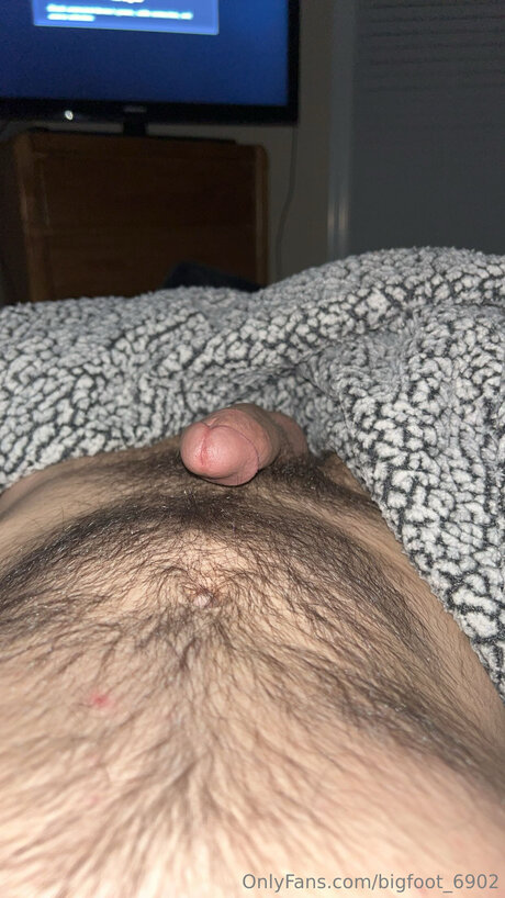 Bigfoot 6902 nice star pictures