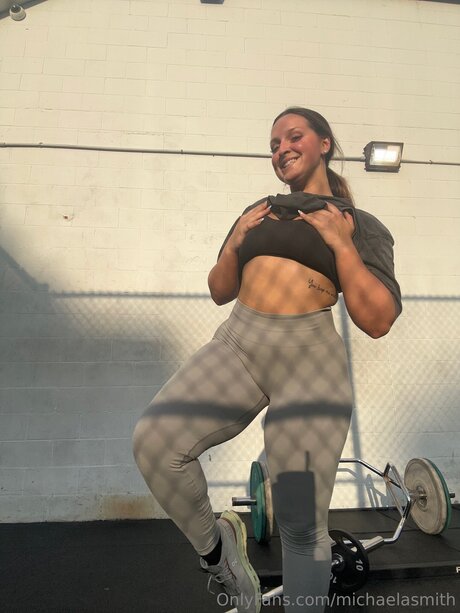 Michaelasmith perfect model picture