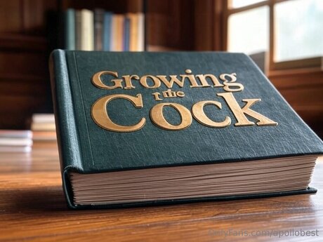 Apollobest beautiful star images