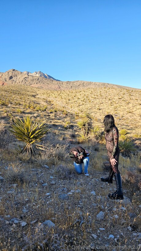 Harleysin2 0 free pornstar gallery