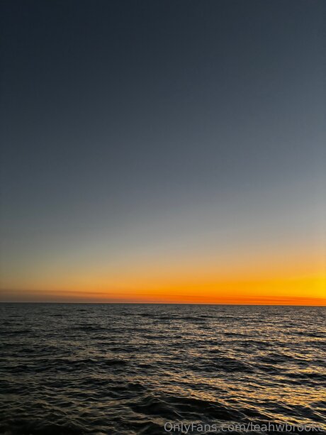 Leahwbrooke pornstar nude gallery