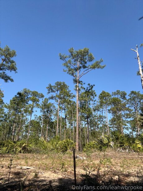 Leahwbrooke star naked photos