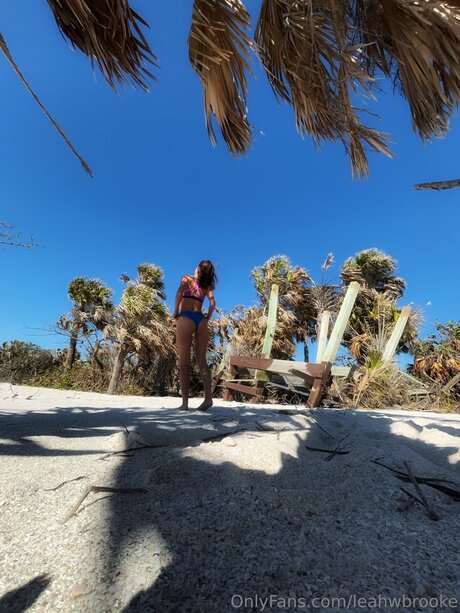 Leahwbrooke high quality pornstar pictures