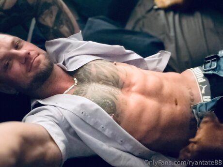 Ryantate88 pornstar perfect images