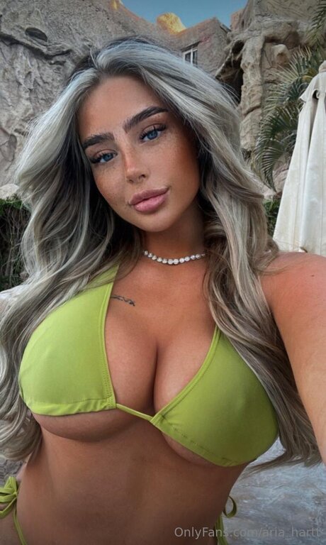 Aria Hartt naked actress picture