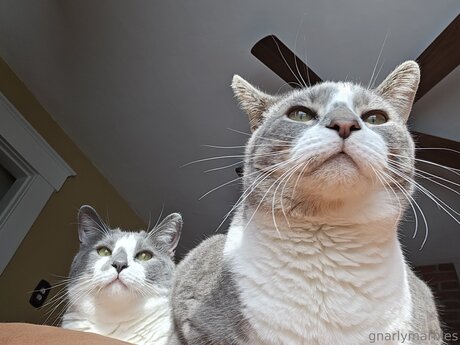 Gnarlymarbles erotic model images