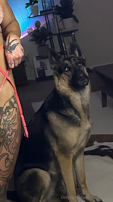 Josiecatxx model hot galleries