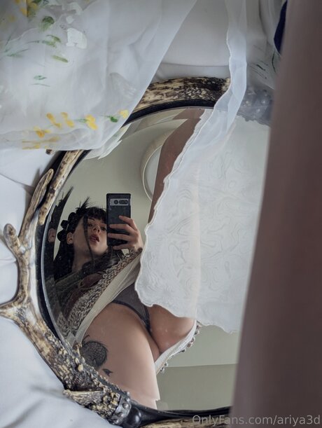 Ariya3d top model archive