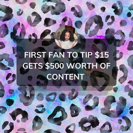 Exoticaxxx perfect star archive