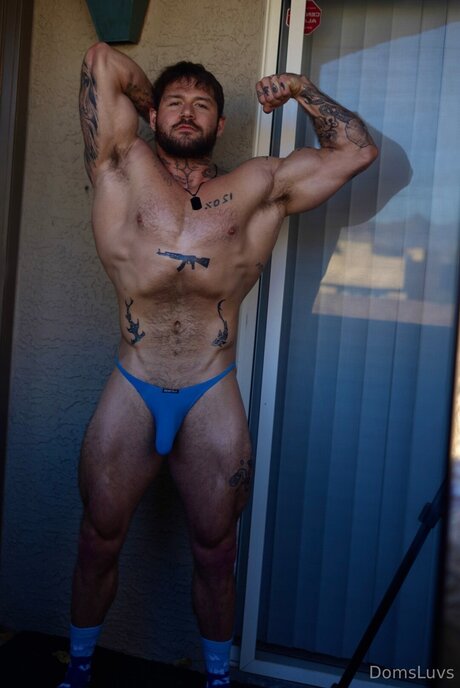 Domsluvz hd star image