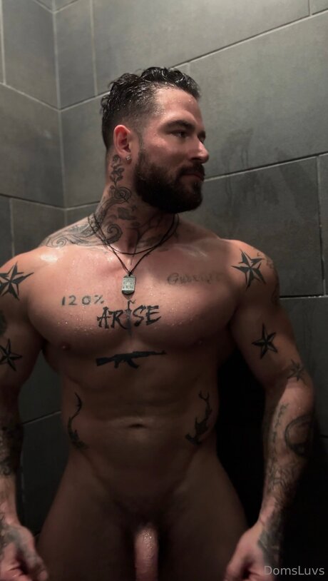 Domsluvz star perfect pictures