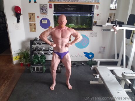 Jarvisstewart adult actress picture