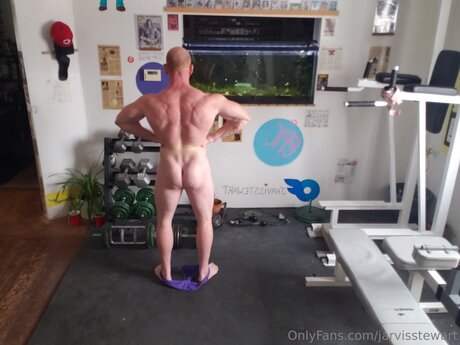 Jarvisstewart model high quality picture