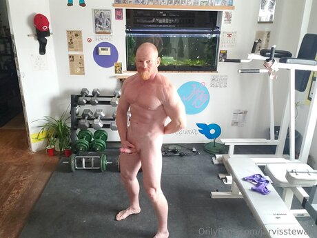 Jarvisstewart star hot image