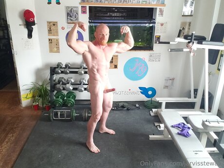 Jarvisstewart free model archive