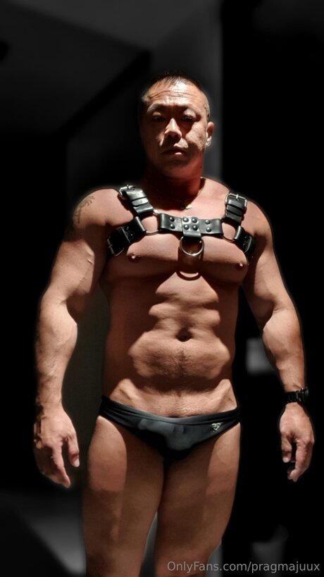 Pragmajuux sexy pornstar photos