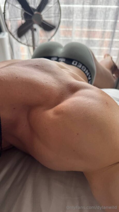 Dylanwild top star archive