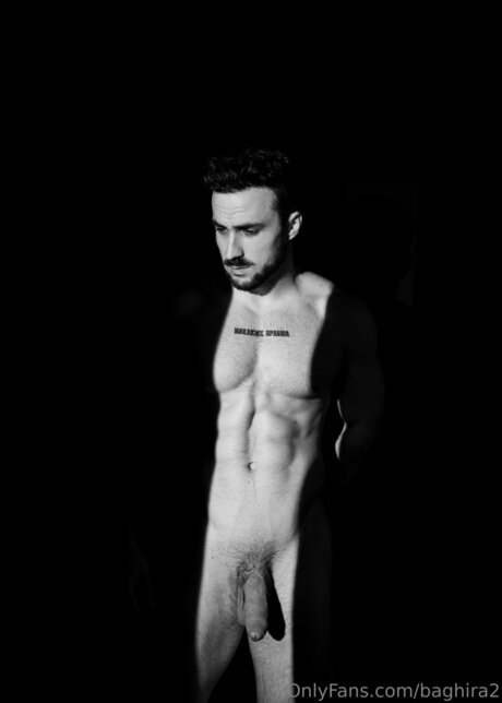 Baghira2 high quality star pictures