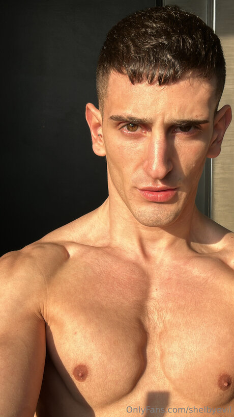 Shelbyevil model perfect archive