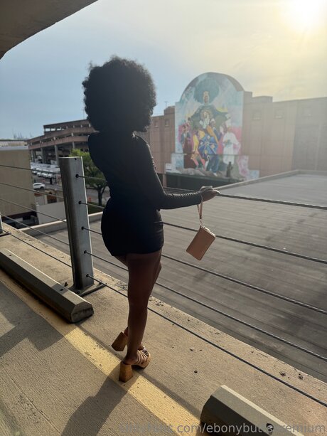 Ebonybuttspremium best star pics