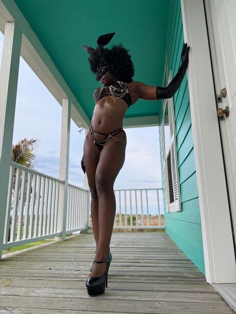 Ebonybuttspremium art pornstar photo