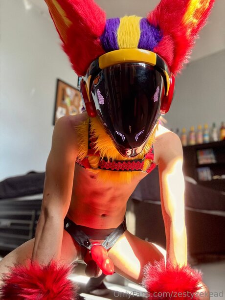 Zestyzekead model sex images