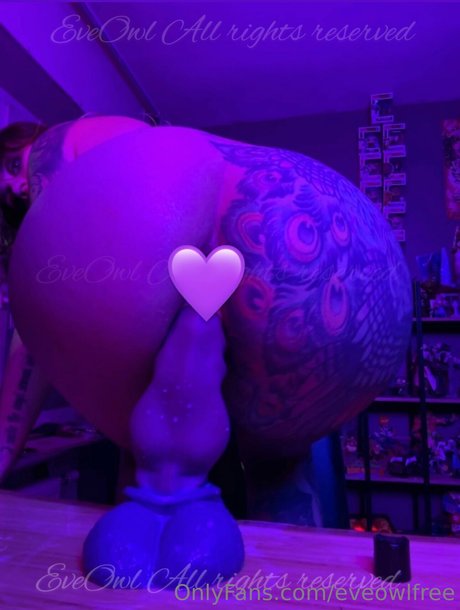 Eve owl model beautiful img