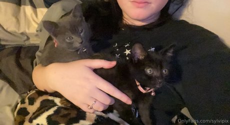 Sylvipix Young Goth Milf pornographic actress gallery