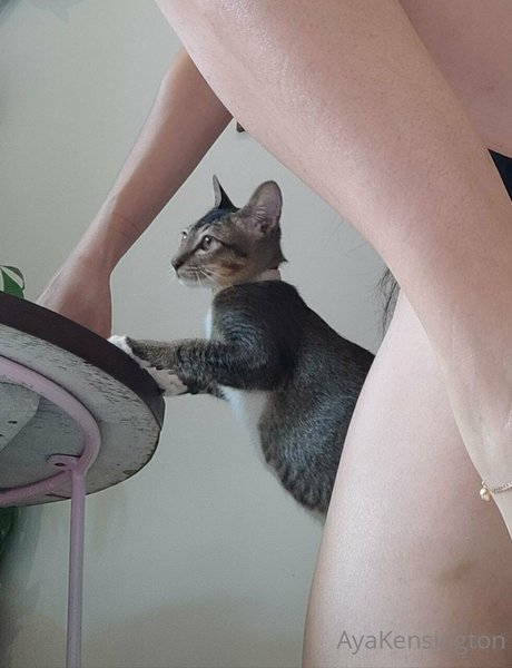 Aya Kensington model top photo