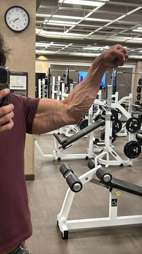 Zanewalker pornstar nice galleries