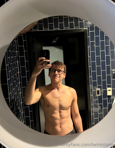 Twinkstann model nice archive