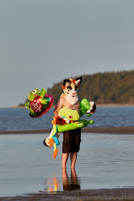 Belkalunokhod adult model photo