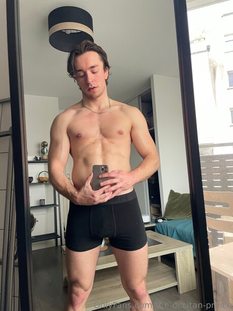 The Occitan Prince adult model picture