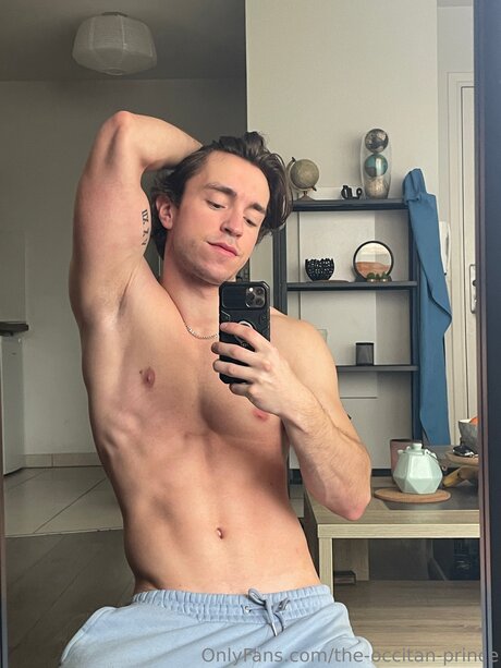 The Occitan Prince sexy pornstar archive