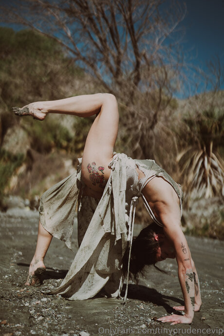 Tinyprudencevip high quality star images