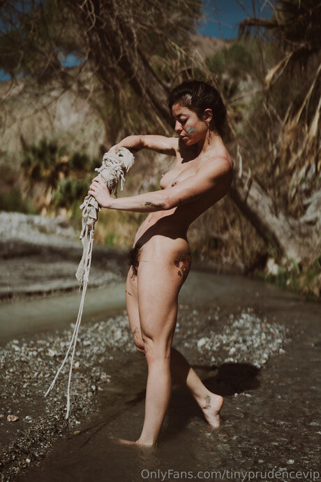 Tinyprudencevip star pornographic pics