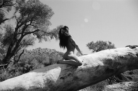 Tinyprudencevip high quality actress picture