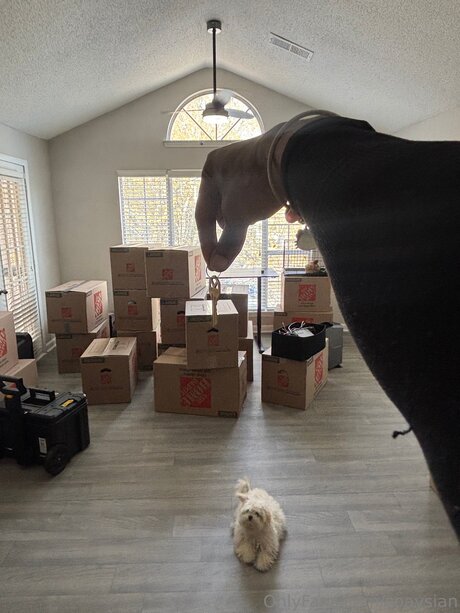 Soaysian star free pictures