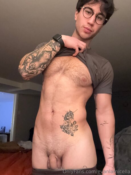 Evanlamicella star images