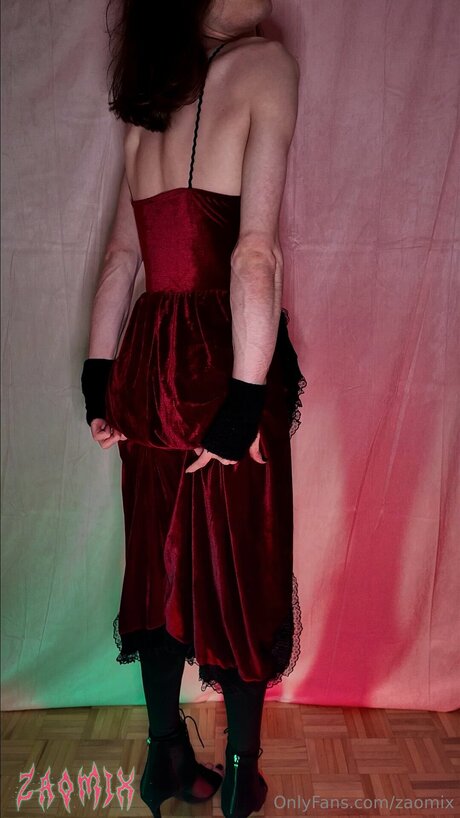 Zaomix hot model picture