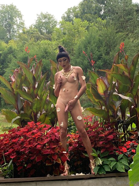 Venuslux perfect actress img