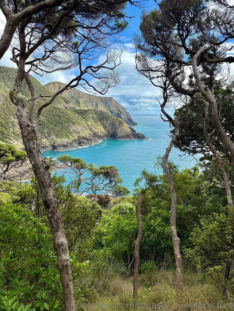 Breasts In Nature Free star exclusive img