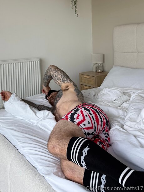 Hatts17 star art images