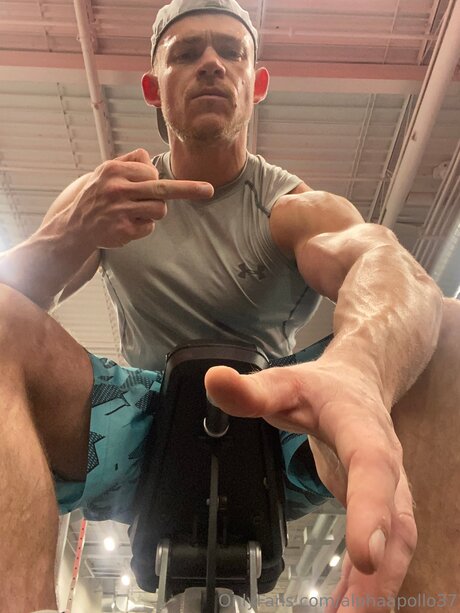 Alphaapollo37 pornstar exclusive archive