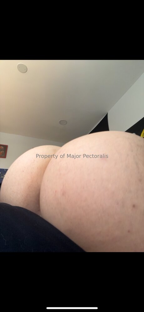 Majorpectoralis star porn photos