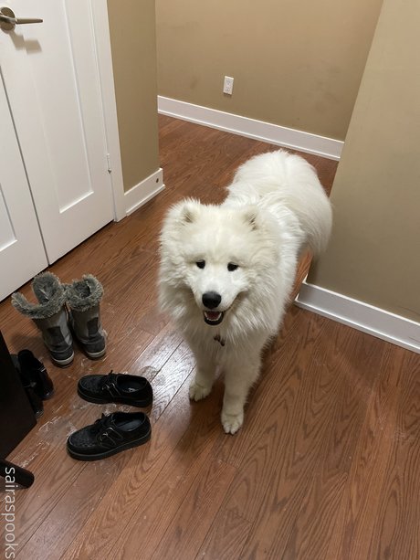 Saira Rose_ star erotic gallery