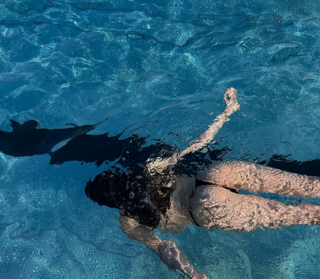 Vanessaa sweet art star images