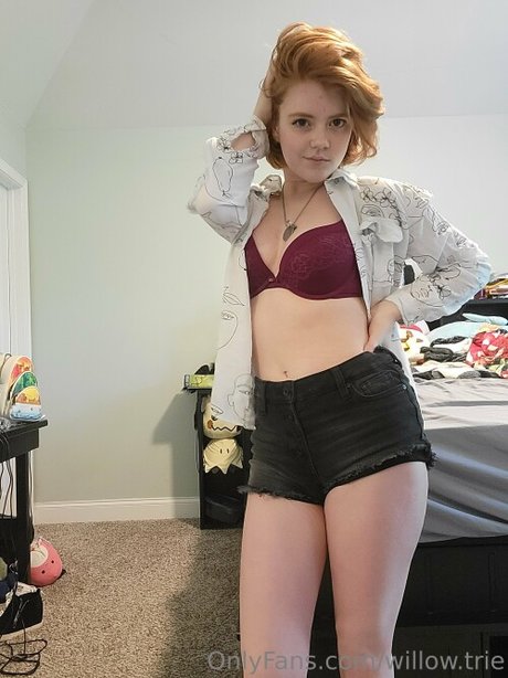 Willow Trie sex pornstar galleries